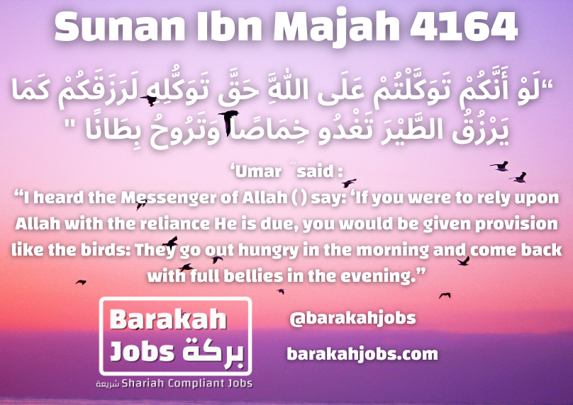 Sunan Ibn Majah 4164_905.png